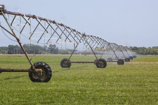 Bon Secour Farm