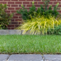 Palisades Zoysia Slabs 500 SQFT