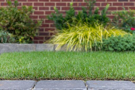 Palisades Zoysia Slabs 500 SQFT