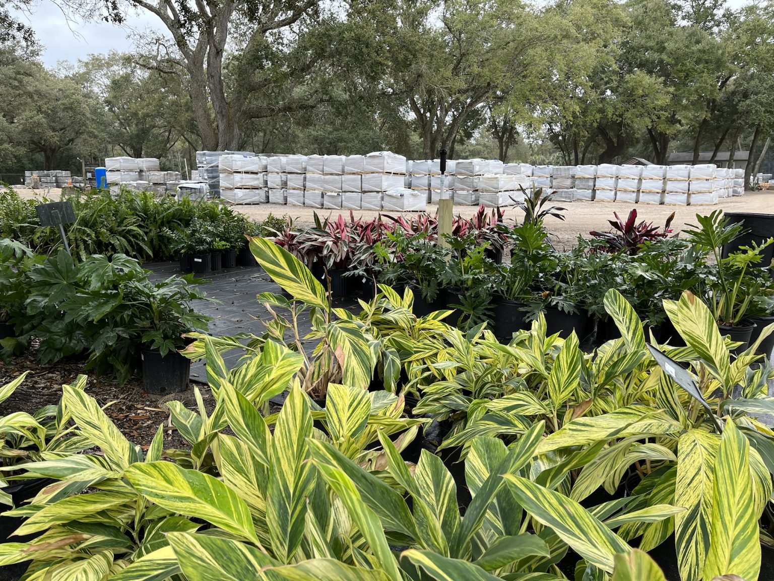 Pensacola, FL Woerner Companies