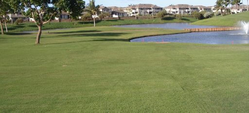 Woerner Southern Turf Hawaii Kona 2