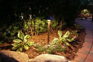 Encore landscape lighting at Woerner