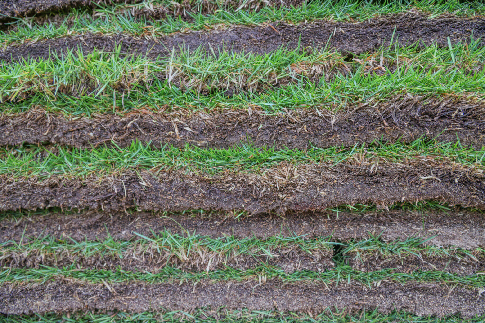 Woerner Farms Sod