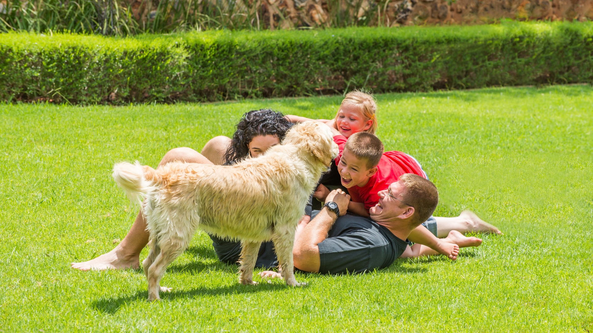 photo of family playing in yard