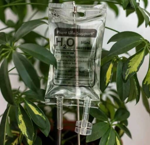 PLANT LIFE SUPPORT WATERING DEVICE MINI SELF WATERER - Image 2