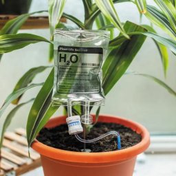 PLANT LIFE SUPPORT WATERING DEVICE