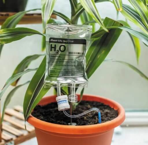 PLANT LIFE SUPPORT WATERING DEVICE
