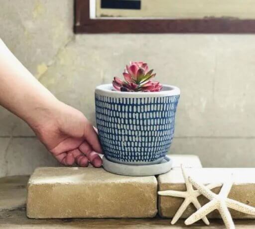 ELEMENTAL CEMENT PLANTER / DOT BLUE - Image 2