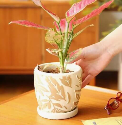 ELEMENTAL CEMENT PLANTER BOTANICAL LEAF BROWN - Image 2