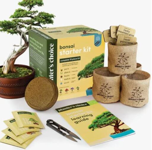 PLANTER'S CHOICE BONSAI STARTER KIT